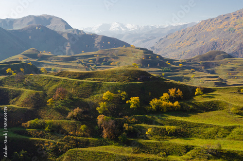 Mountain landscape with green agricultural terraces on the slopes in the Caucasus mountains.