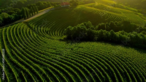 Aerial drone 4K footage of wine cottage Malek which lies in the in the hills northeast of Ormož in northeastern Slovenia. photo