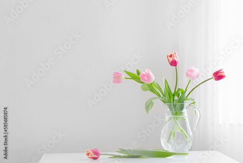 tulips in glass vase on white background