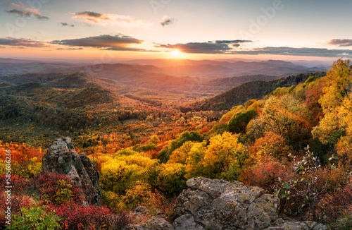 Sunset landscape with high peaks and valley with autumn spruce forest under vibrant colorful evening sky in forest mountains.