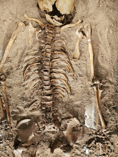 old human bones © jonnysek