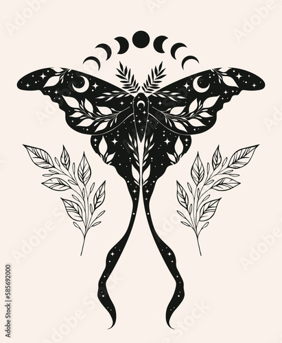 Mystic moth isolated vector illustration. Magic moon, occult, print, tattoo, poster.
