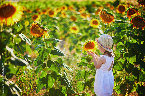 Adorable 4 year old girl in white dress and straw hat in a field of sunflowers, Provence, France