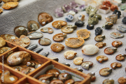 Selection of prehistoric minerals and fossils on a traditional French market in the village of Cucuron, Provence, France