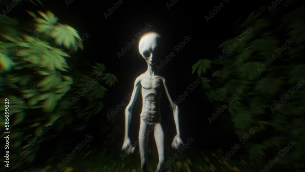 3D Trippy Vj loop Alien walking in Cannabis Forest High bpm lights Weed background 4k psychedelic texture 420 Extraterrestrial matte background 3D Trippy Vj loop Alien walking in Cannabis Forest High bpm lights Weed background 4k psychedelic texture 420 Extraterrestrial matte background