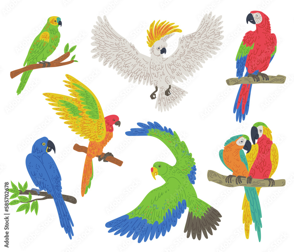 Exotic colorful parrot birds set flat vector illustration isolated on white.