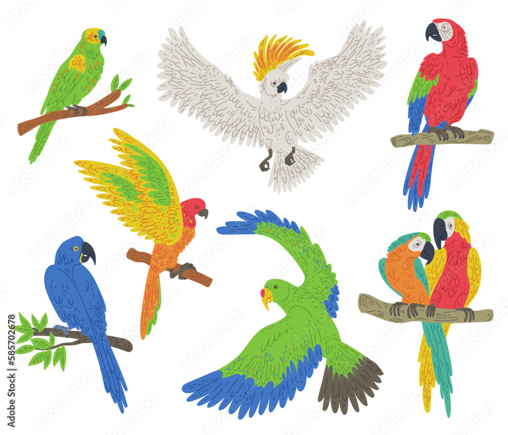 Naklejka premium Exotic colorful parrot birds set flat vector illustration isolated on white.