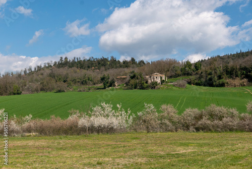 idilliaco e silenzioso paesaggio rurale in primavera in una giornata luminosa