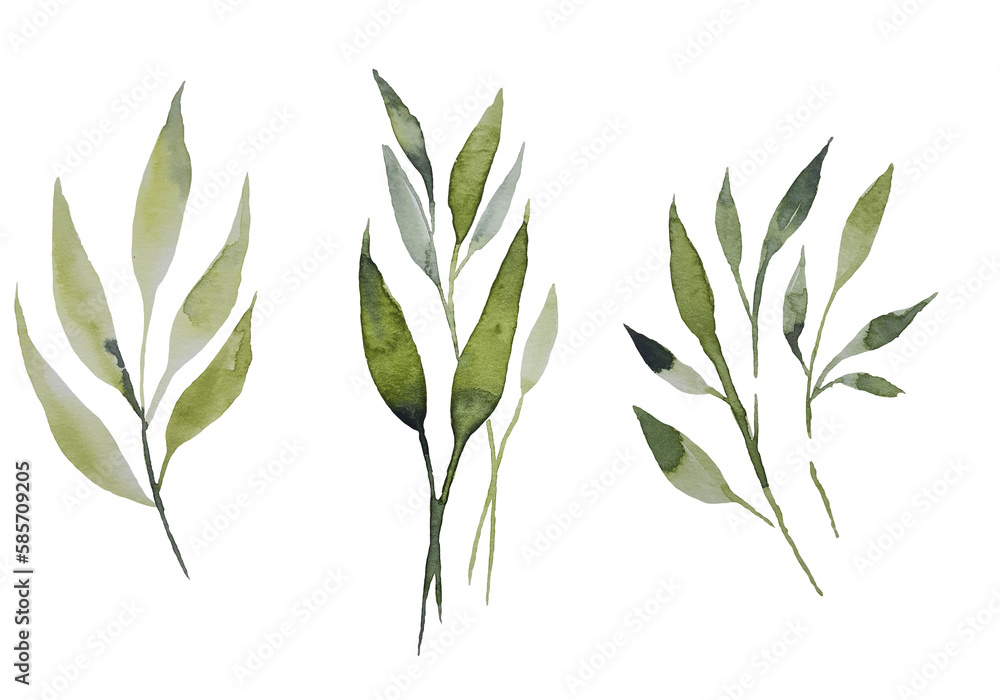 Watercolor set of different types of field grasses, flowers, leaves, spikelets, lush, spring. Botanical background, perfect for cards, banners, textiles, wallpaper, invitations