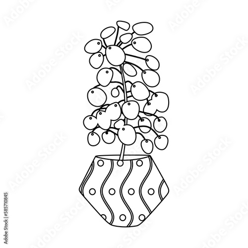 Houseplant Sketch. Hand drawing indoor plant in potted. Pilea peperomioides, potted Chinese money plant. Outline room plant, vector illustration