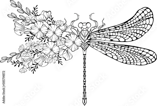 Dragonfly with contour California poppy