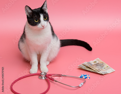 Kocie choroby - siedzący kot obok medycznego stetoskopu, pieniędzy i leków 