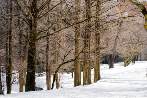 雪の里山風景