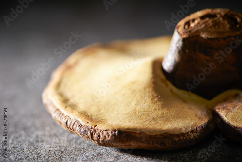 Bilde på lerret Dried Reishi Mushroom, traditional herbal medicine