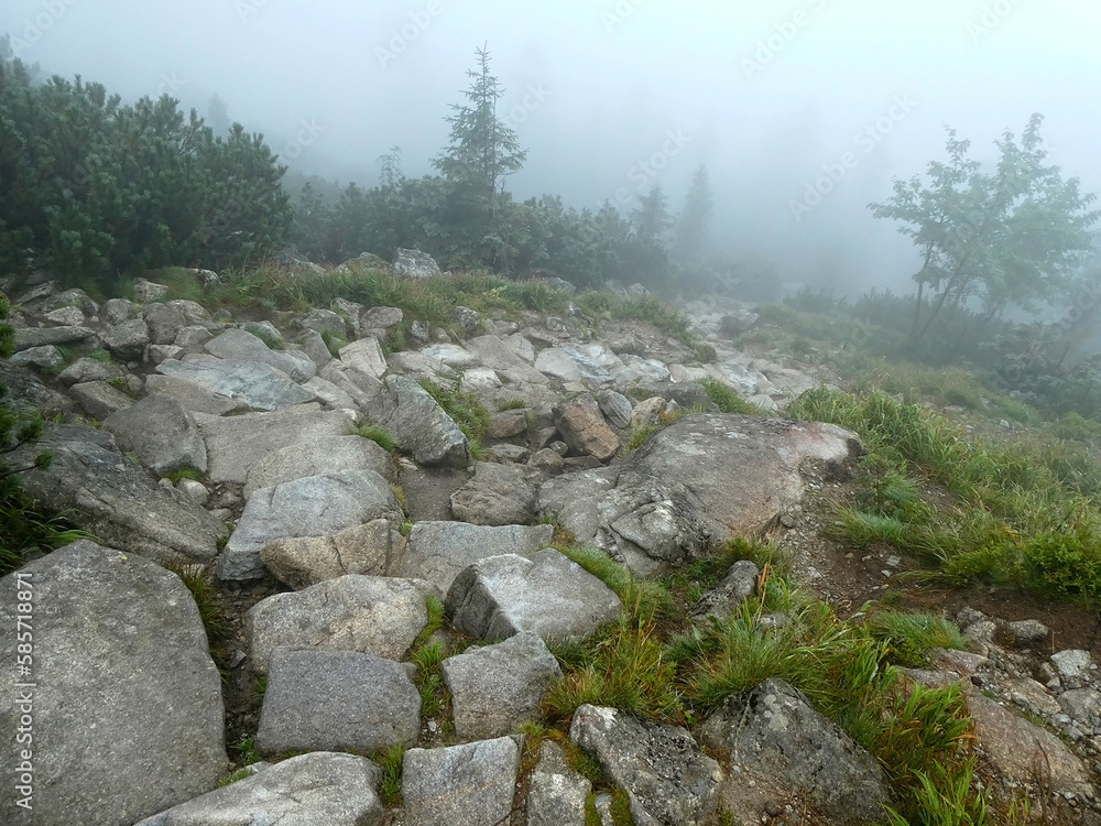 Stones in the mist of a mountain forest Stones in the mist of a mountain forest
