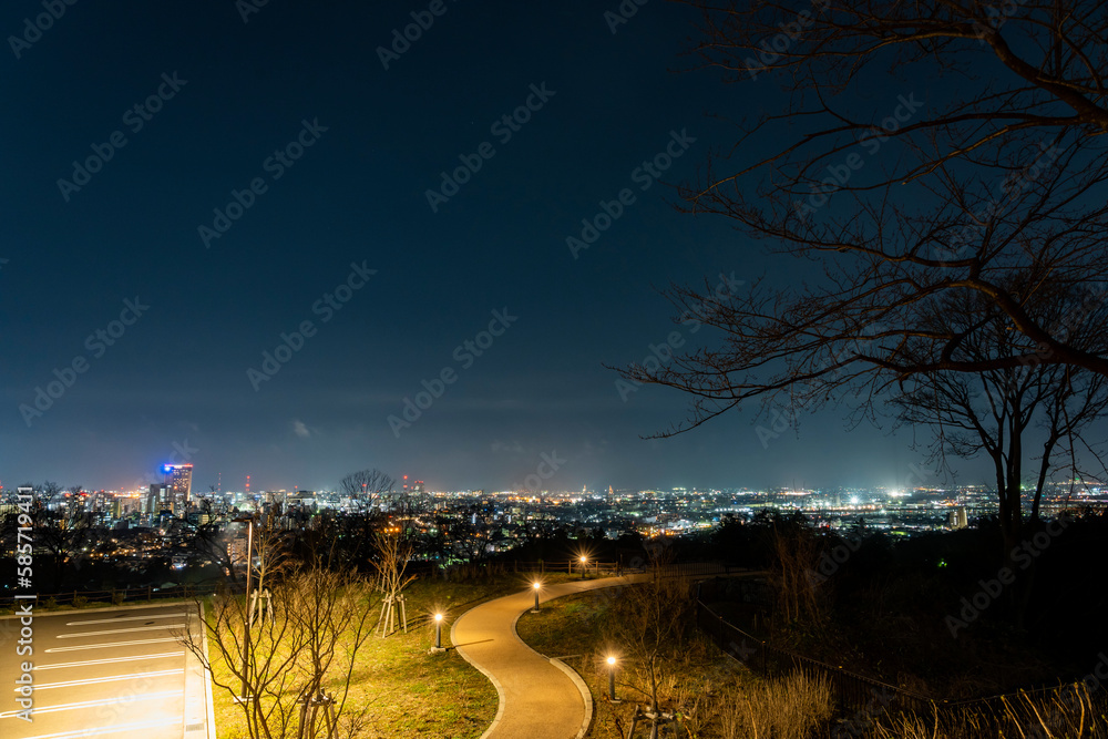 卯辰山公園・眺望の丘からの金沢の夜景