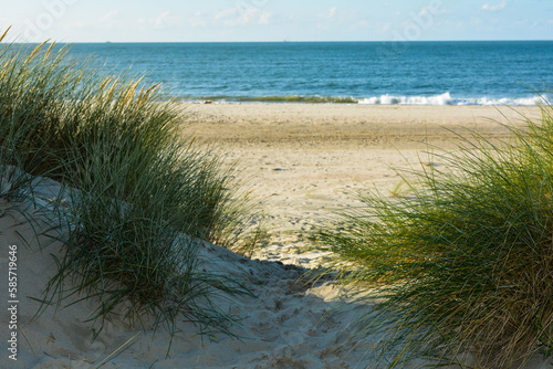 View through beach grass to the sea on the North Sea coast