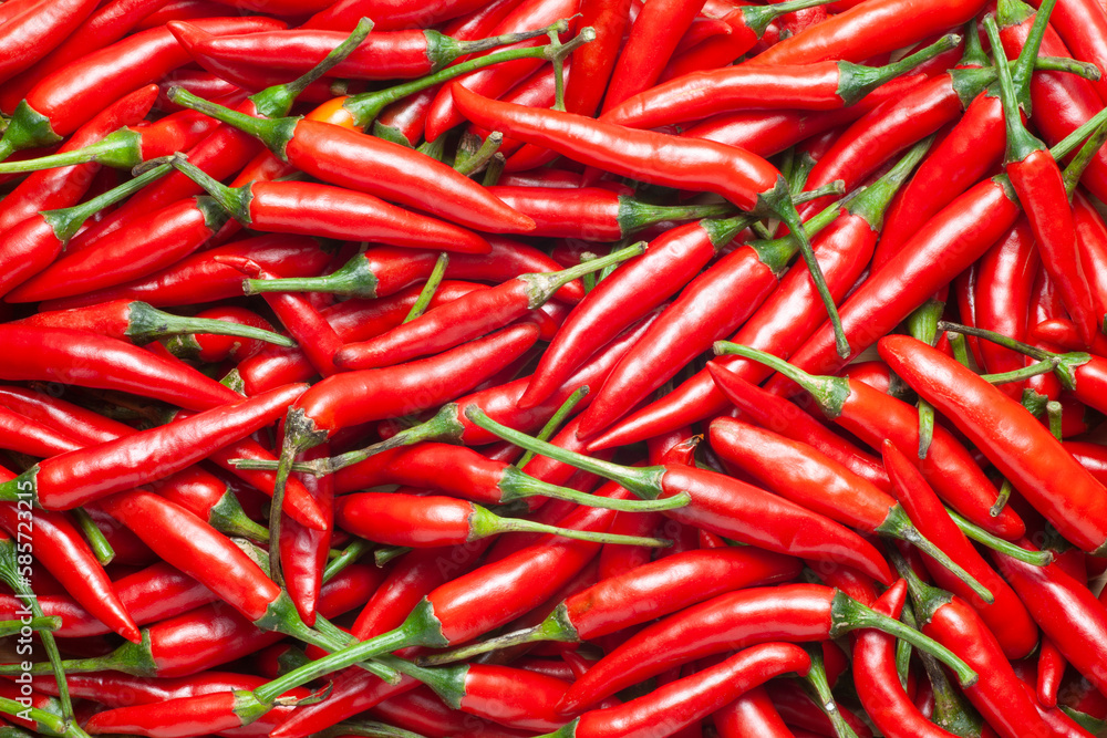 Food background of red chili peppers
