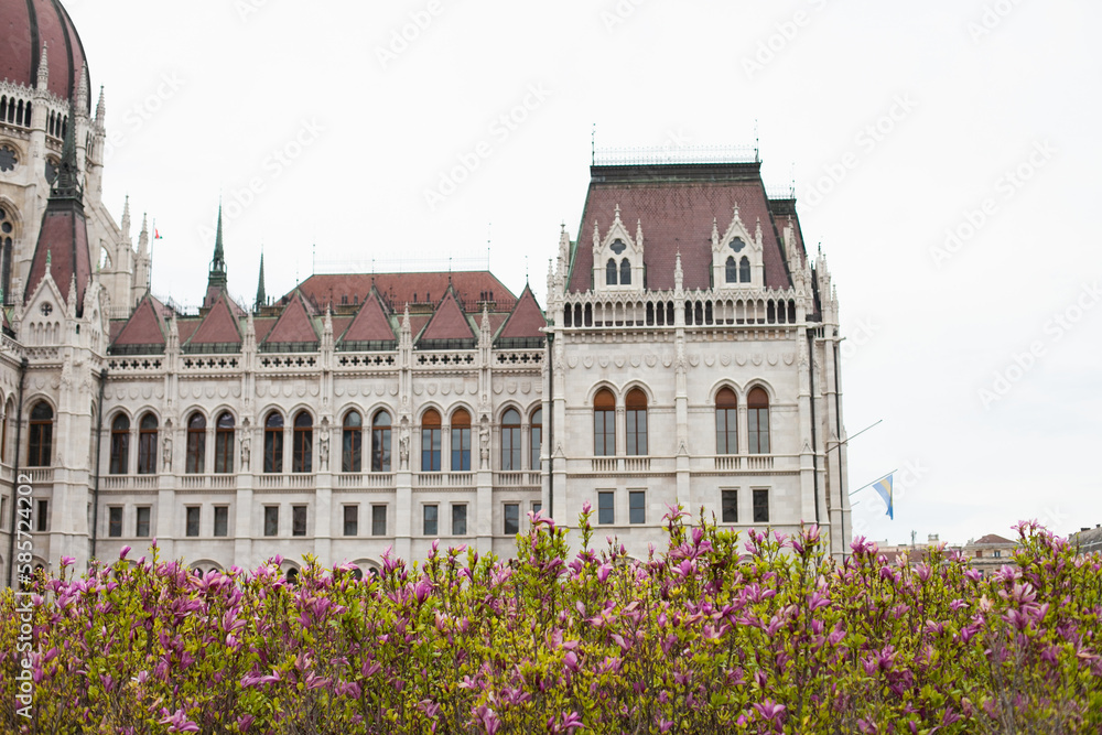 Parliament building in Budapest, Hungary, closeup