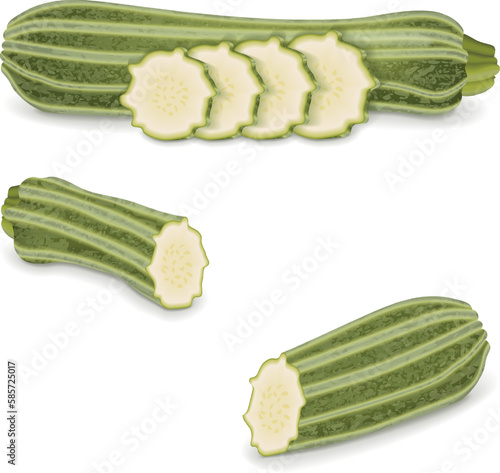 Whole, slices, wedges of Costata Romanesco squash or Ribbed Roman. Cocozzelle. Courgette or marrow. Summer squash. Cucurbita. Fruits and vegetables. Vector illustration isolated on white background.