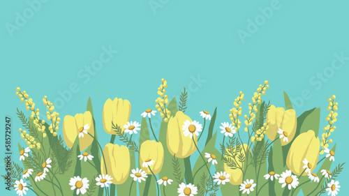 Spring background with yellow tulips and daisies. Flowers background for design.