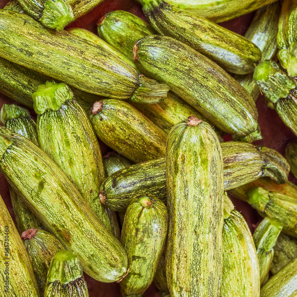 Zucch Fresh organic zucchini top view close up for sale at the local market ...