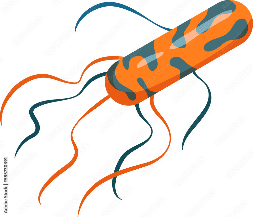 Examples of gramnegative and grampositive bacteria in magnifying