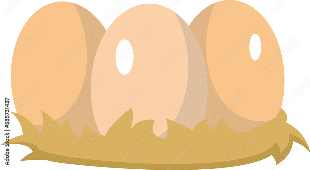 Eggs in nest Haystack with eggs, Han nest, Rural. organic and natural products for cooking. Eggs in nest Haystack with eggs, Han nest, Rural. organic and natural products for cooking.