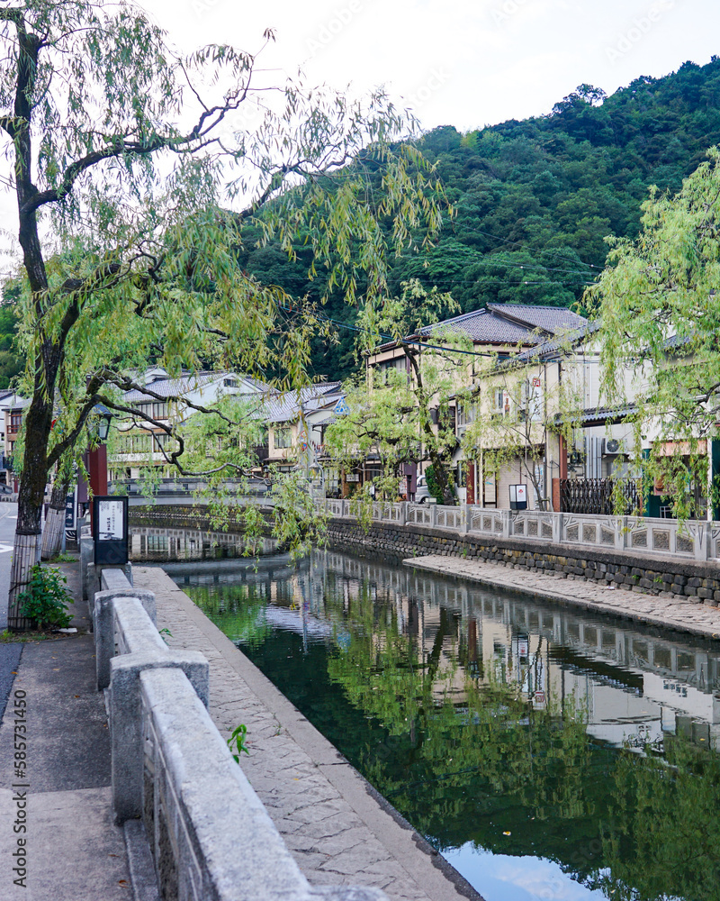 Fototapeta premium 静かな朝 城崎温泉の川べり柳通り（兵庫県豊岡市）