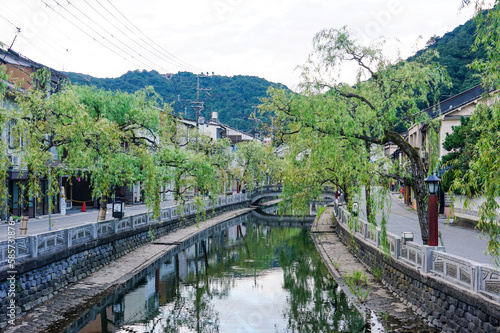 静かな朝 城崎温泉の川べり柳通り（兵庫県豊岡市）