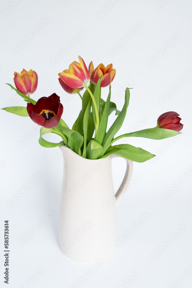 Tulpen, Frühlingsblumen Tulpen, Frühlingsblumen