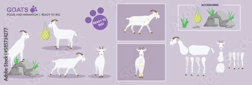 Goat vector ready to rig for animation. White mountain goat collection, multiple poses, cute character.	

