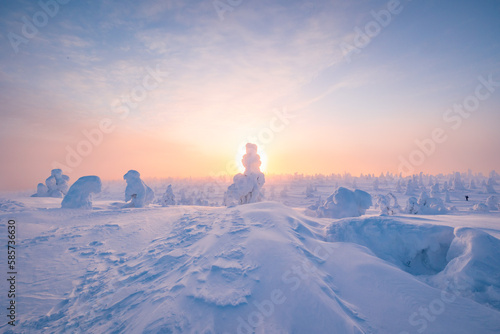 winter landscape with snow covered trees