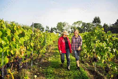 Mother with daughter walking in vineyard photo