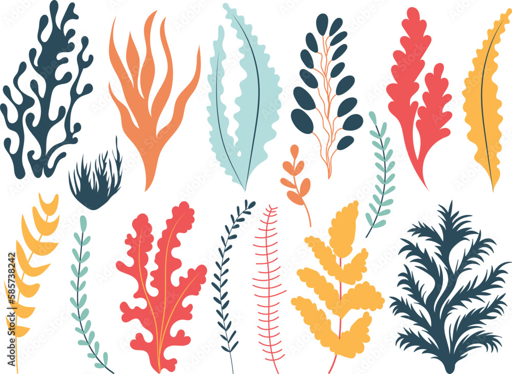 seaweed set in flat style isolated vector seaweed set in flat style isolated vector