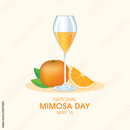 National Mimosa Day vector illustration. Mimosa cocktail with oranges icon set vector. Champagne flute with orange juice drawing. May 16 every year. Important day