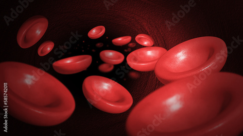 sangue, globuli rossi, photo