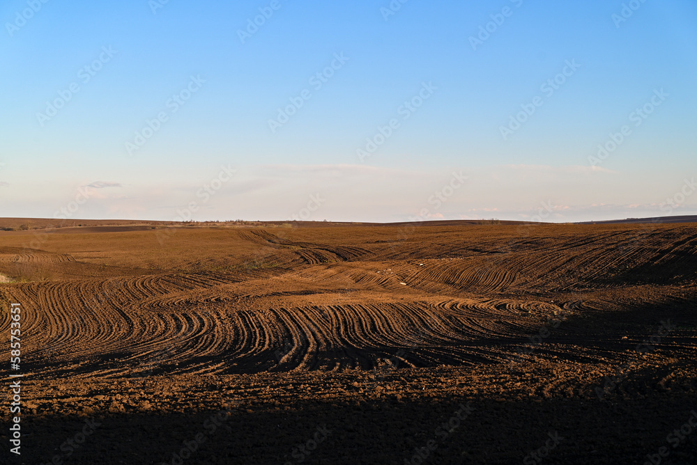 A field ready for sowing wheat. The rich, dark soil has been tilled into rows, with visible clumps of earth scattered across the ground. A field ready for sowing wheat. The rich, dark soil has been tilled into rows, with visible clumps of earth scattered across the ground.