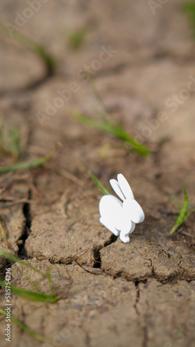 Original vertical photo, installation model of rabbit on cracked earth, landscape awakening.
Suitable for an environmentally conscious Easter card. photo