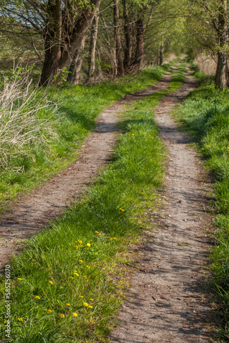 Feldweg durch die Gosener Wiesen in Berlin