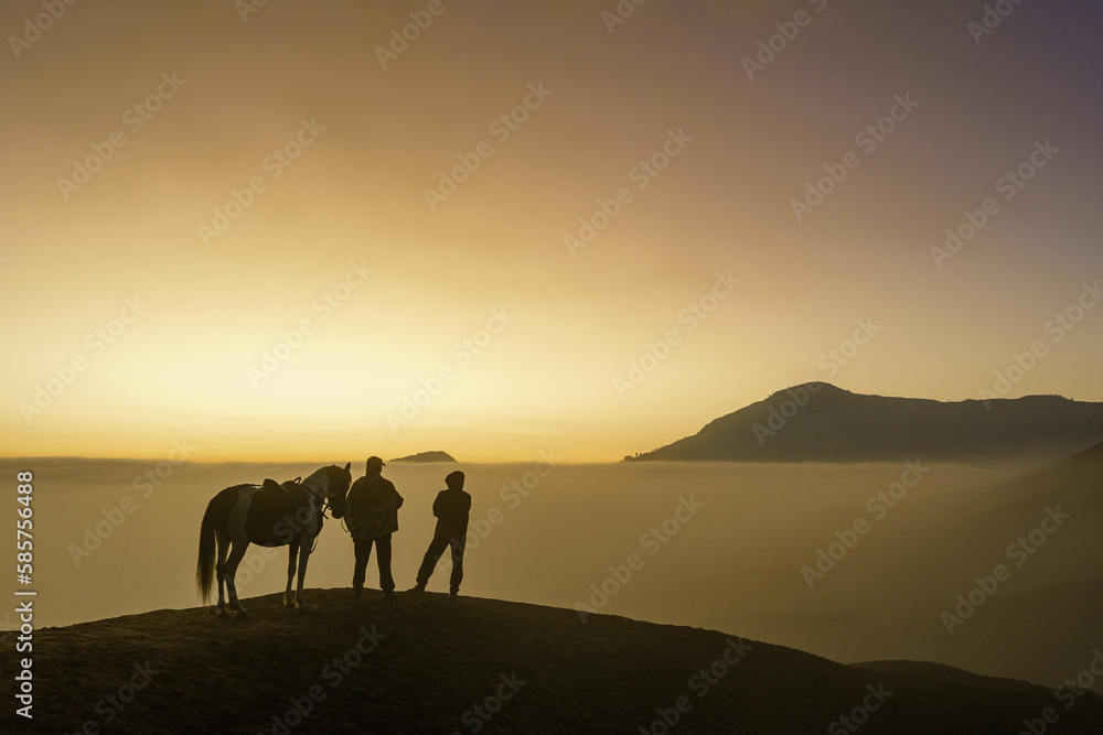 horse on the mountain