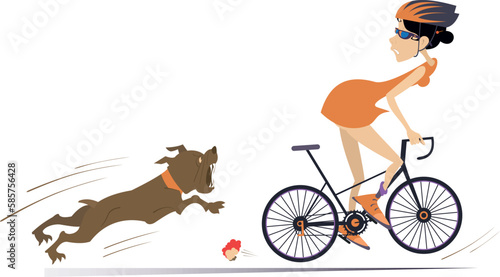 Angry dog and cyclist woman illustration. 
Frightened cyclist escapes from the angry dog. Isolated on white background
