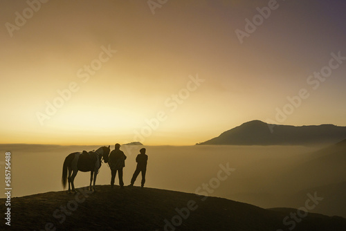 horse on the mountain © Didik