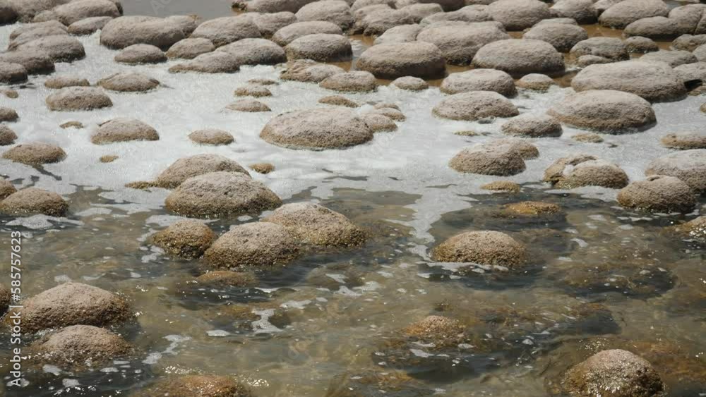 Lake Clifton Ancient Thrombolites 4K Lake Clifton Ancient Thrombolites 4K