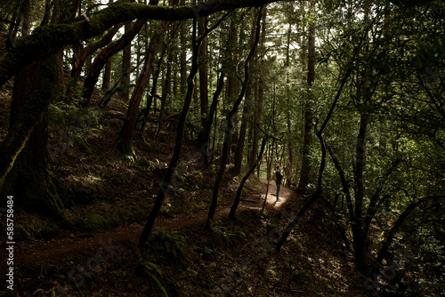 Man standing in forest photo