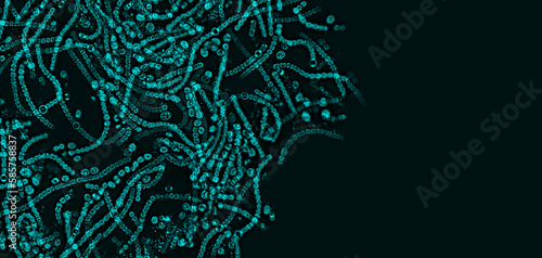 Photos Probiotics, lactic acid bacteria