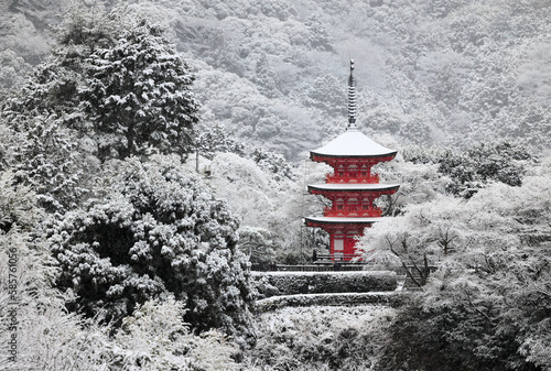 京都、清水寺の雪景色