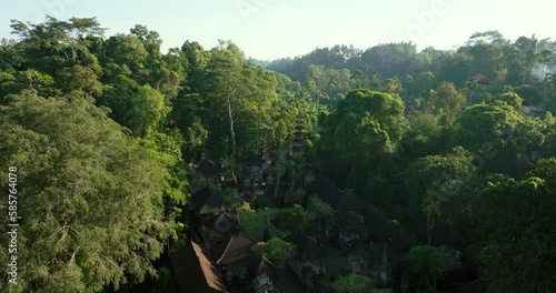 Drone view of Bali. Pura Gunung Lebah Hindu Temple Campuhan Ubud Bali Indonesia photo