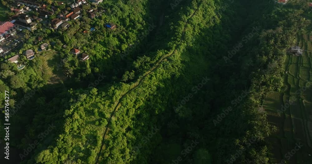 Drone view of Bali. Aerial view of artist trail in Ubud, Bali. Campuhan Ridge Walk Ubud Drone view of Bali. Aerial view of artist trail in Ubud, Bali. Campuhan Ridge Walk Ubud