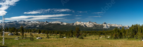 Empty Meadow Flanked By Pines Sits Under the High Sierras of Yosemite